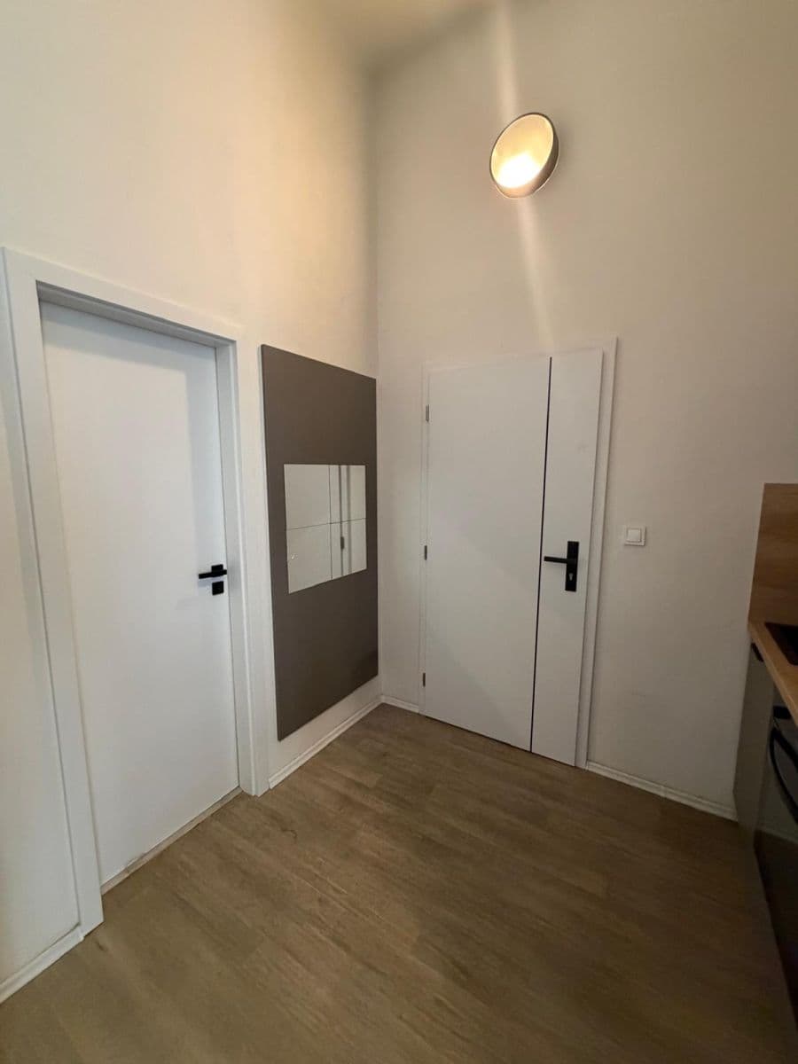 Studio flat to rent, 34 m², Sokolská, Prague, Prague Studio flat to rent, 34 m², Sokolská, Prague, Prague