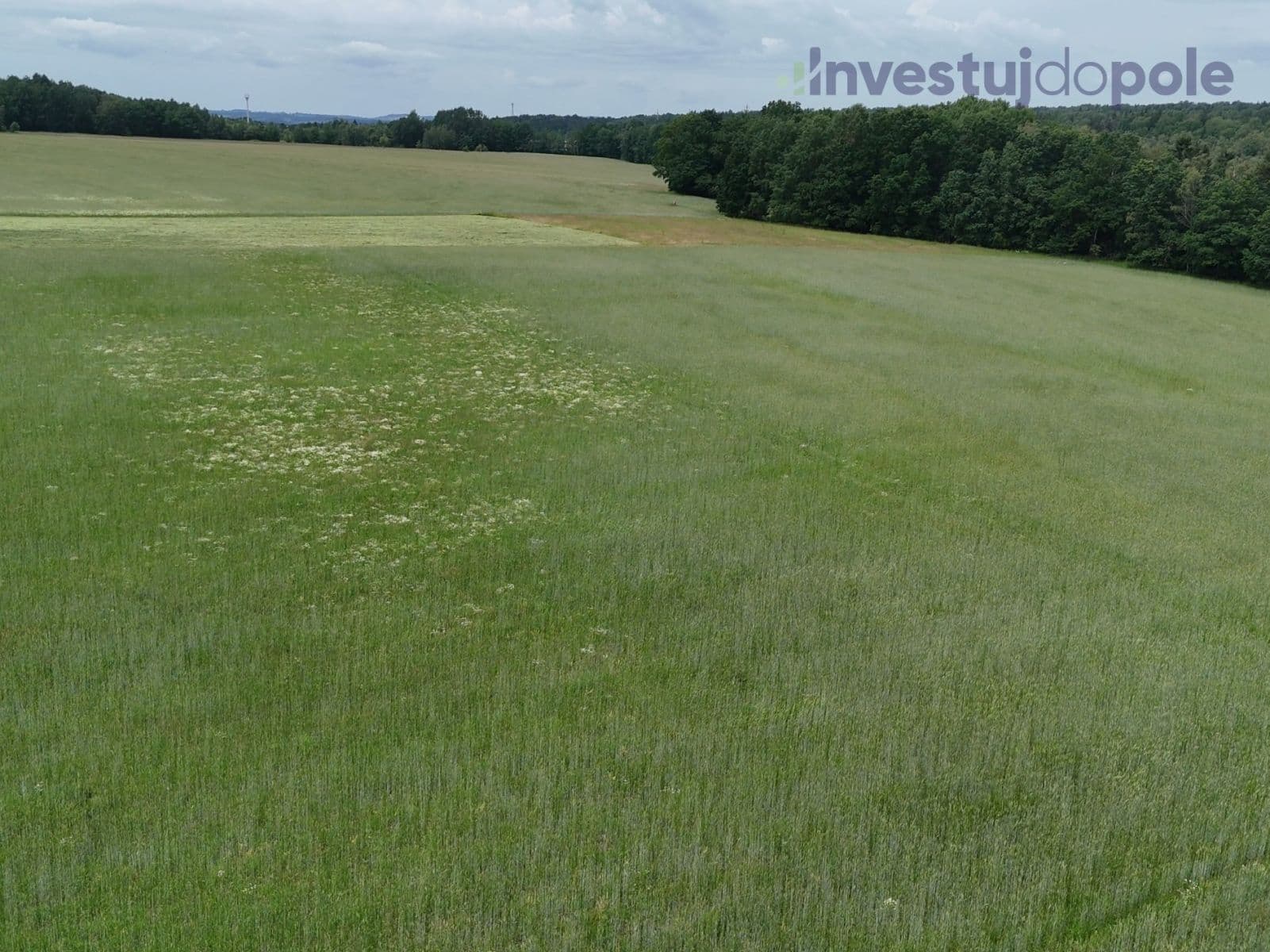 plot for sale, 18,851 m², Staré Sedlo, Karlovarský Region plot for sale, 18,851 m², Staré Sedlo, Karlovarský Region