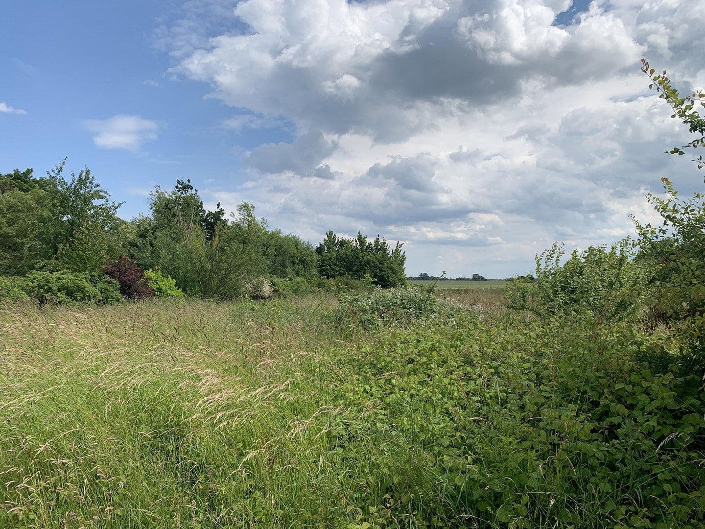 plot for sale, 1,879 m², Grabowerstraße, Altenpleen, Mecklenburg-Vorpommern plot for sale, 1,879 m², Grabowerstraße, Altenpleen, Mecklenburg-Vorpommern