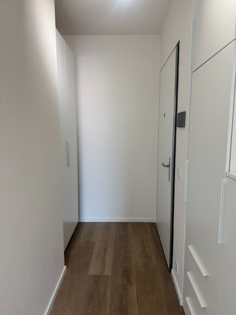 1 bedroom with open-plan kitchen flat to rent, 56 m², Hodkovická, Prague, Prague 1 bedroom with open-plan kitchen flat to rent, 56 m², Hodkovická, Prague, Prague