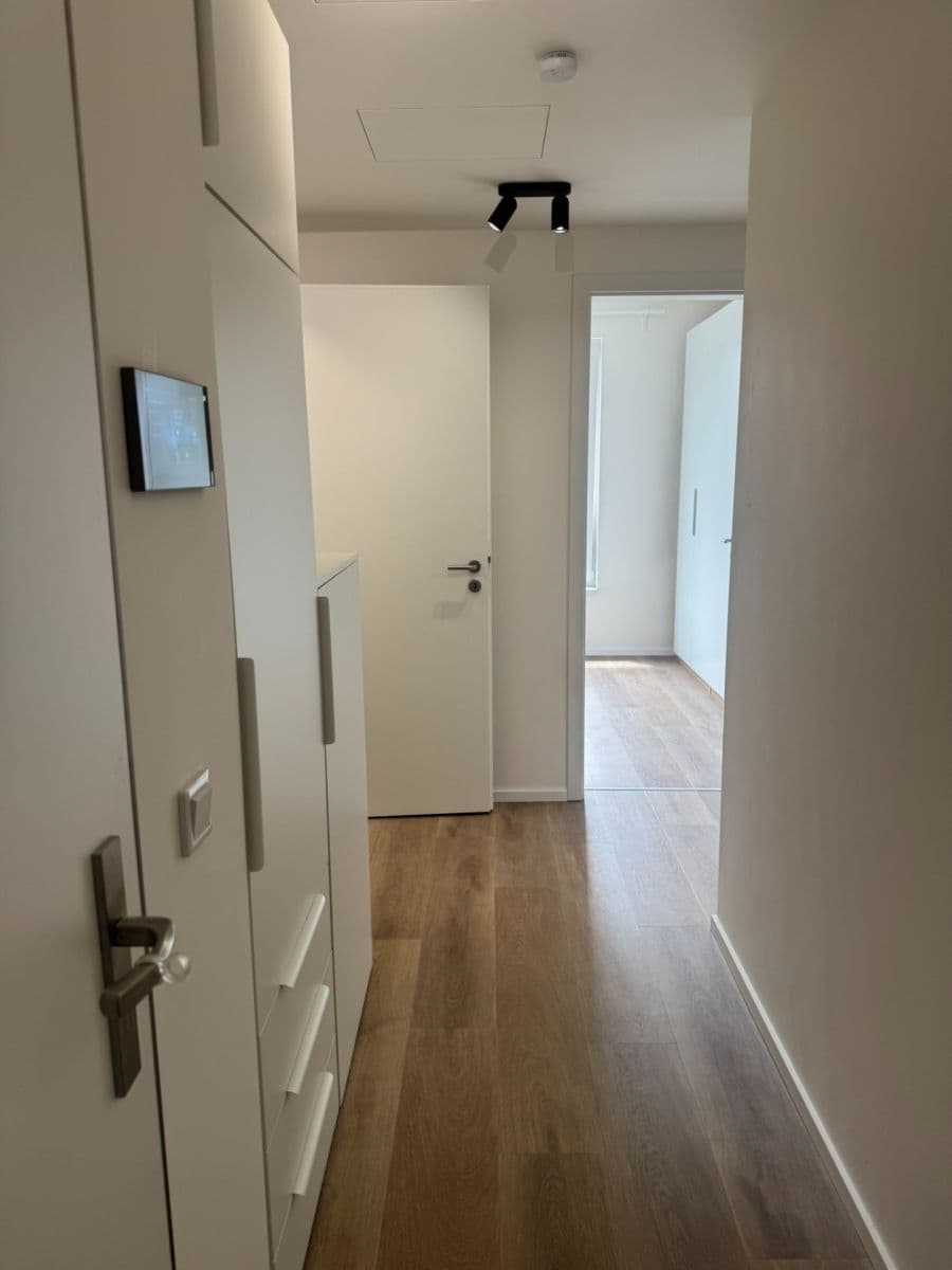 1 bedroom with open-plan kitchen flat to rent, 56 m², Hodkovická, Prague, Prague 1 bedroom with open-plan kitchen flat to rent, 56 m², Hodkovická, Prague, Prague