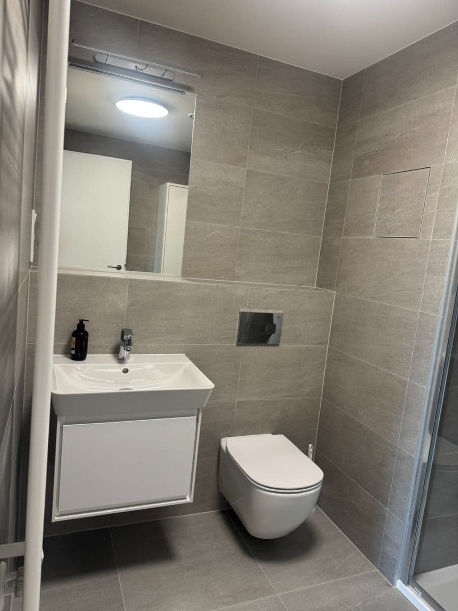 1 bedroom with open-plan kitchen flat to rent, 56 m², Hodkovická, Prague, Prague 1 bedroom with open-plan kitchen flat to rent, 56 m², Hodkovická, Prague, Prague