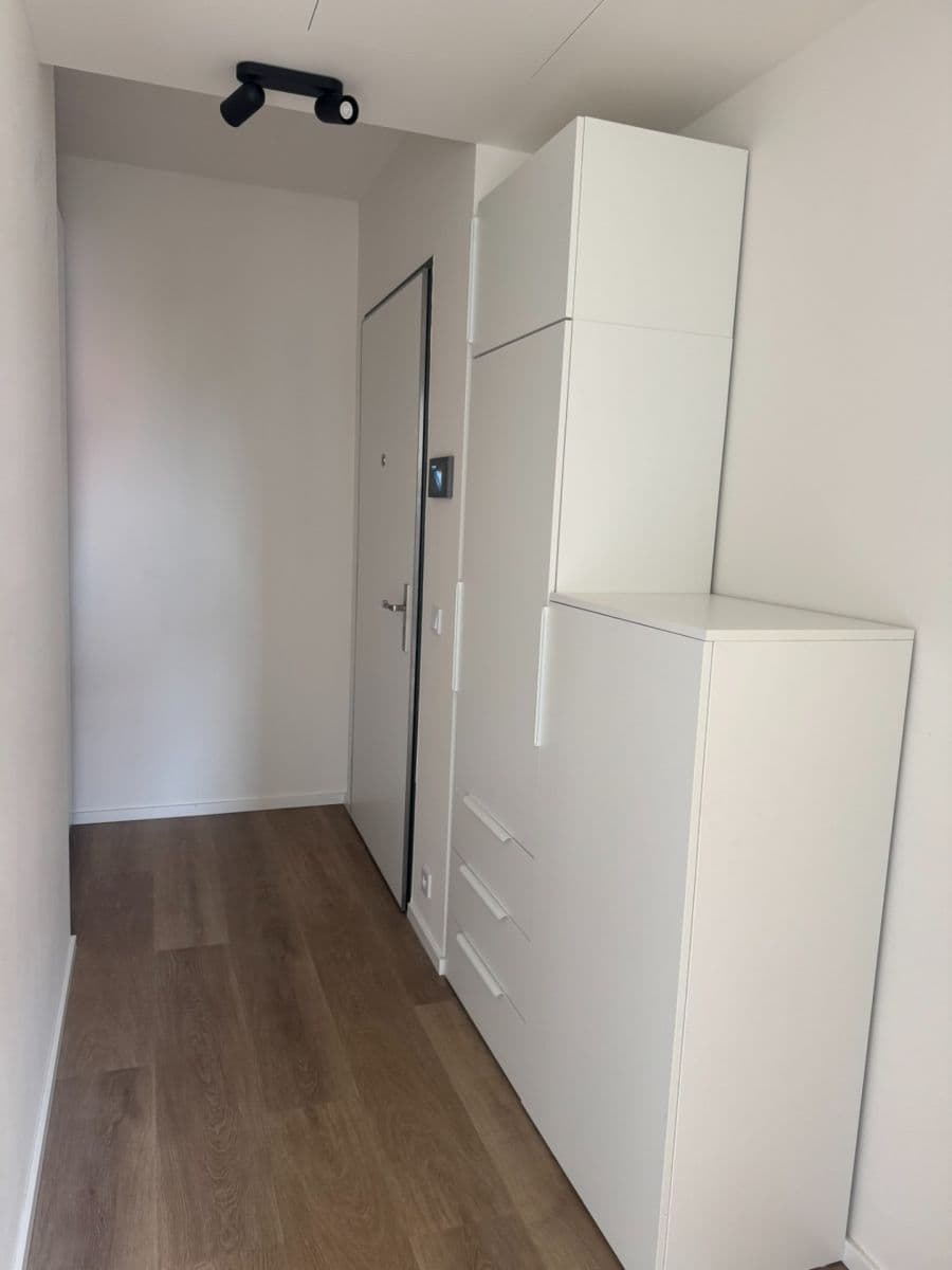1 bedroom with open-plan kitchen flat to rent, 56 m², Hodkovická, Prague, Prague 1 bedroom with open-plan kitchen flat to rent, 56 m², Hodkovická, Prague, Prague