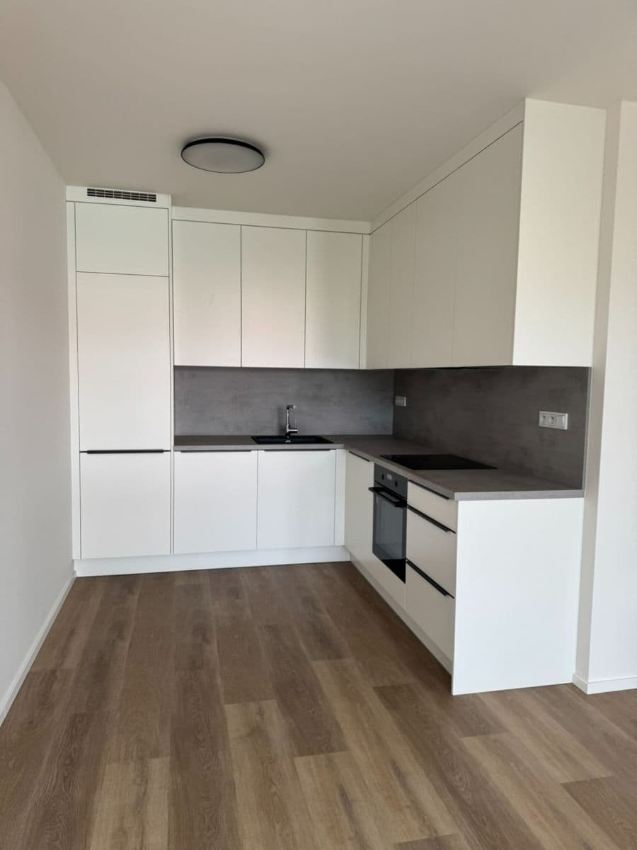 1 bedroom with open-plan kitchen flat to rent, 56 m², Hodkovická, Prague, Prague 1 bedroom with open-plan kitchen flat to rent, 56 m², Hodkovická, Prague, Prague