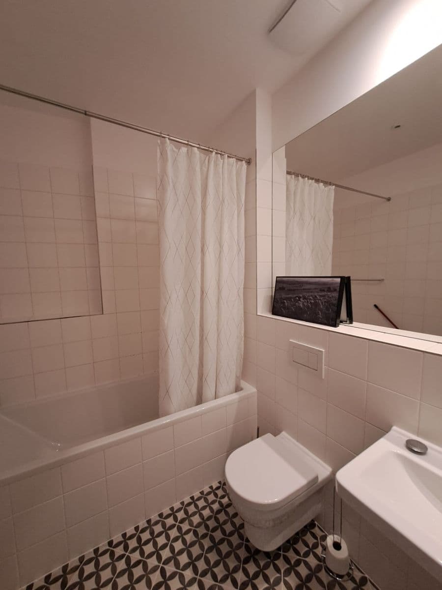 1 bedroom with open-plan kitchen flat to rent, 51 m², Dalimilova, Prague, Prague 1 bedroom with open-plan kitchen flat to rent, 51 m², Dalimilova, Prague, Prague