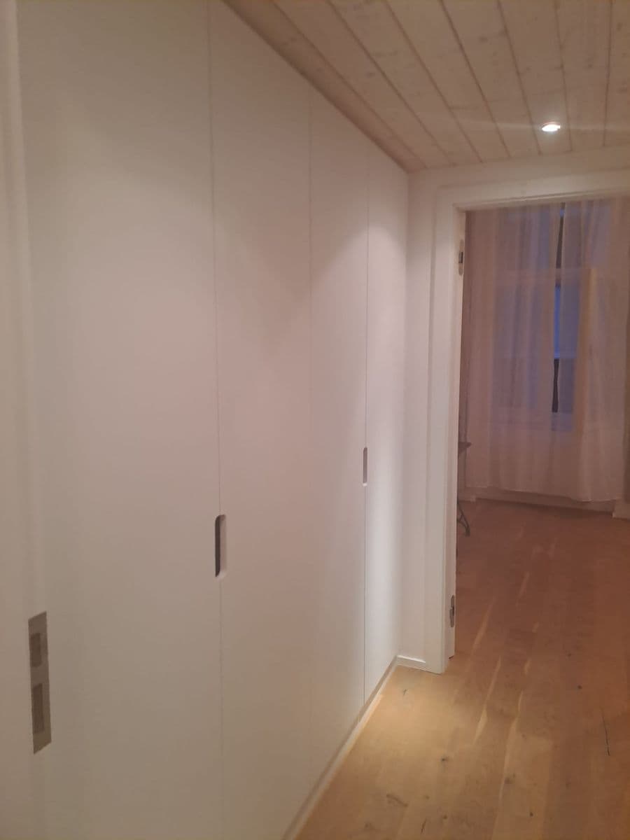 1 bedroom with open-plan kitchen flat to rent, 51 m², Dalimilova, Prague, Prague 1 bedroom with open-plan kitchen flat to rent, 51 m², Dalimilova, Prague, Prague