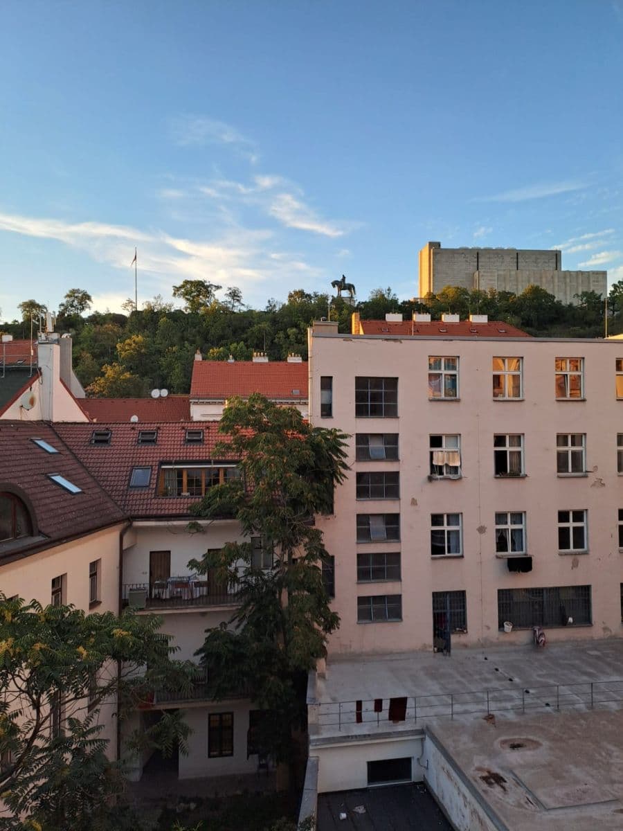 1 bedroom with open-plan kitchen flat to rent, 51 m², Dalimilova, Prague, Prague 1 bedroom with open-plan kitchen flat to rent, 51 m², Dalimilova, Prague, Prague