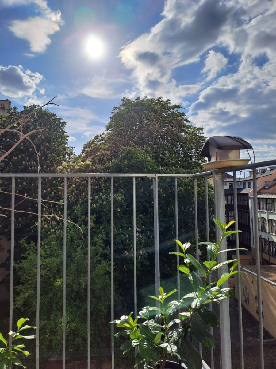 1 bedroom with open-plan kitchen flat to rent, 51 m², Dalimilova, Prague, Prague 1 bedroom with open-plan kitchen flat to rent, 51 m², Dalimilova, Prague, Prague