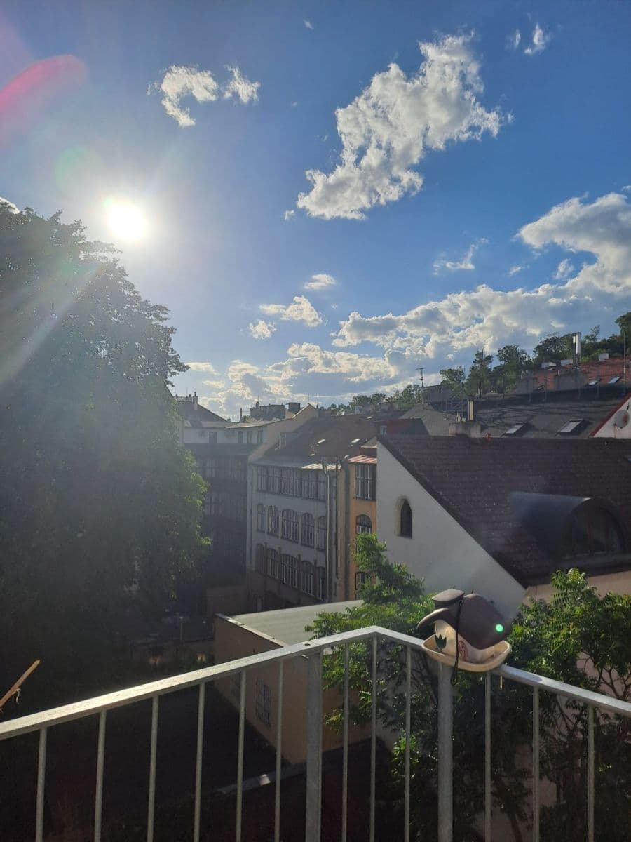 1 bedroom with open-plan kitchen flat to rent, 51 m², Dalimilova, Prague, Prague 1 bedroom with open-plan kitchen flat to rent, 51 m², Dalimilova, Prague, Prague