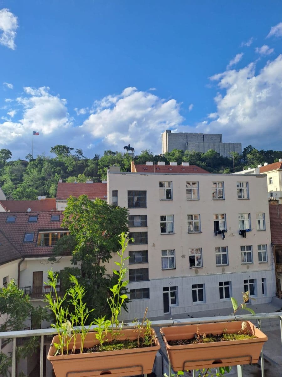 1 bedroom with open-plan kitchen flat to rent, 51 m², Dalimilova, Prague, Prague 1 bedroom with open-plan kitchen flat to rent, 51 m², Dalimilova, Prague, Prague