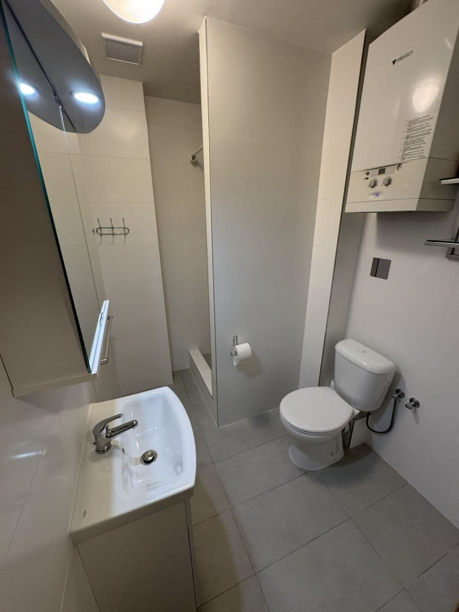 1 bedroom with open-plan kitchen flat to rent, 52 m², Štefánikova, Prague, Prague 1 bedroom with open-plan kitchen flat to rent, 52 m², Štefánikova, Prague, Prague