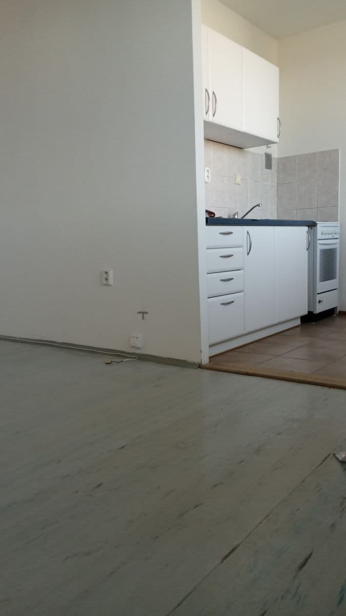 Studio flat to rent, 40 m², Holíkova, Jílové u Prahy, Středočeský Region Studio flat to rent, 40 m², Holíkova, Jílové u Prahy, Středočeský Region
