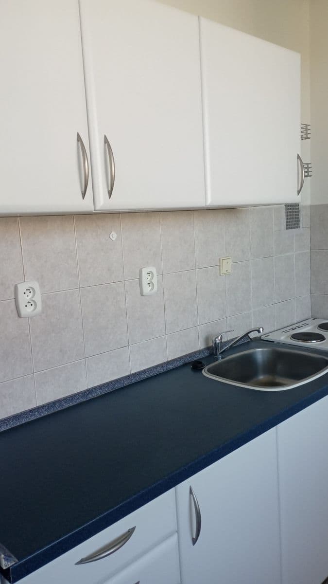 Studio flat to rent, 40 m², Holíkova, Jílové u Prahy, Středočeský Region Studio flat to rent, 40 m², Holíkova, Jílové u Prahy, Středočeský Region