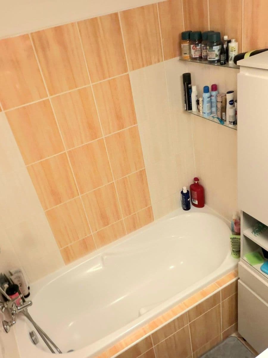 2 bedroom with open-plan kitchen flat to rent, 60 m², Herlíkovická, Prague, Prague 2 bedroom with open-plan kitchen flat to rent, 60 m², Herlíkovická, Prague, Prague