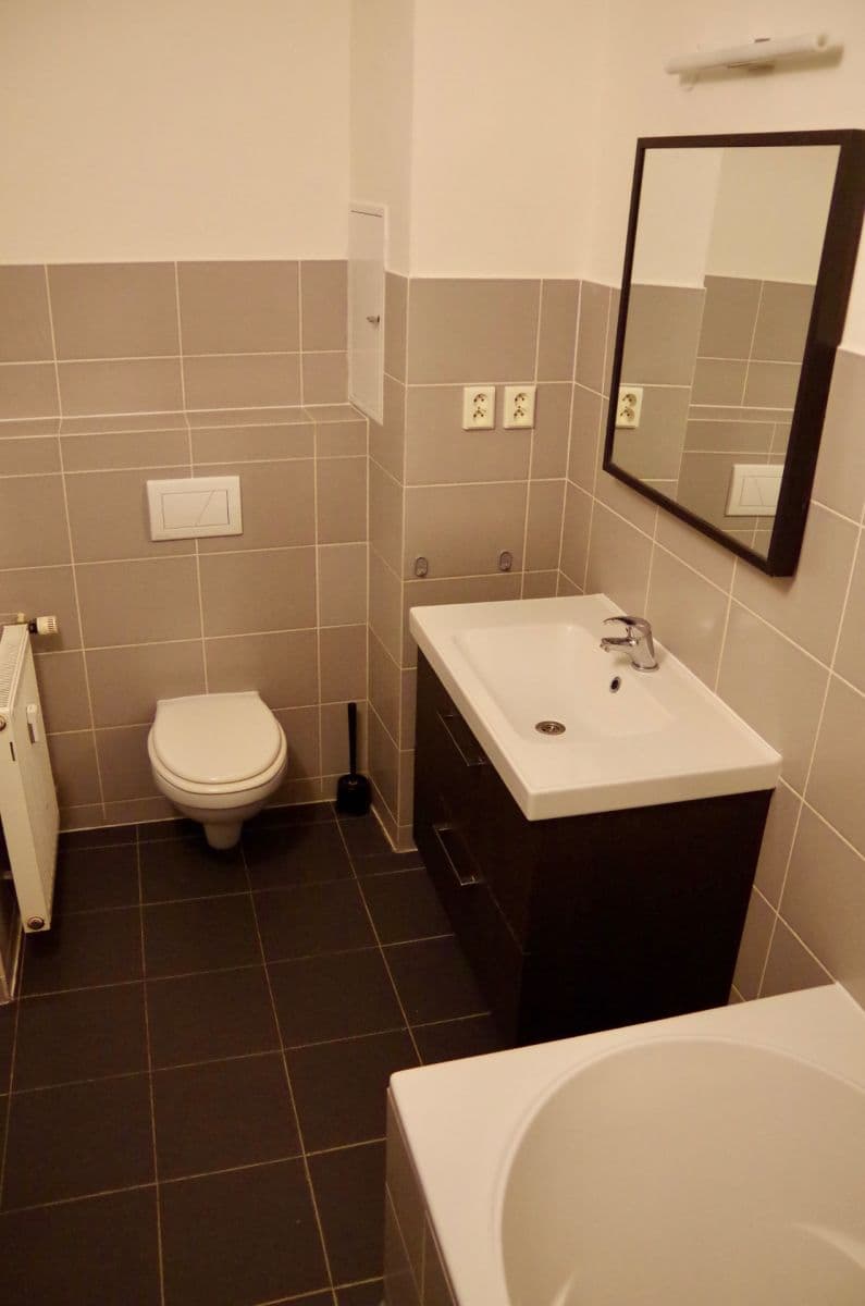 1 bedroom with open-plan kitchen flat to rent, 40 m², Krymská, Prague, Prague 1 bedroom with open-plan kitchen flat to rent, 40 m², Krymská, Prague, Prague
