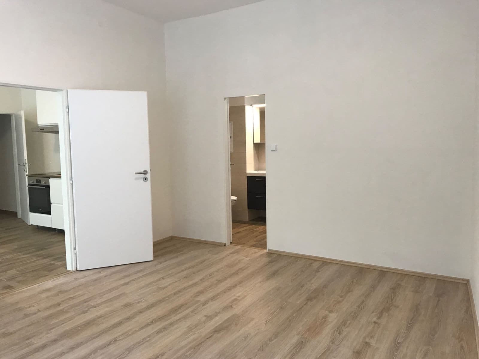 1 bedroom with open-plan kitchen flat to rent, 43 m², Krymská, Prague, Prague 1 bedroom with open-plan kitchen flat to rent, 43 m², Krymská, Prague, Prague