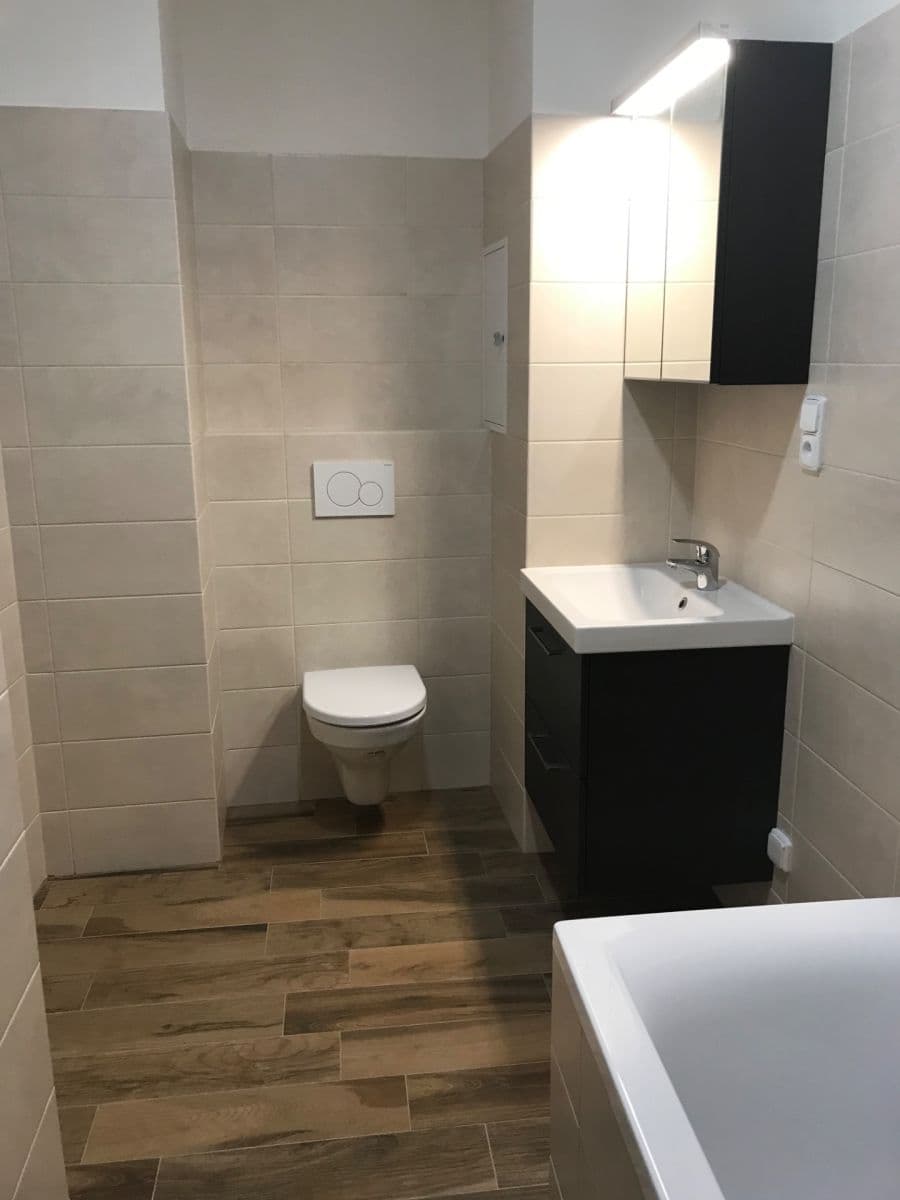 1 bedroom with open-plan kitchen flat to rent, 43 m², Krymská, Prague, Prague 1 bedroom with open-plan kitchen flat to rent, 43 m², Krymská, Prague, Prague