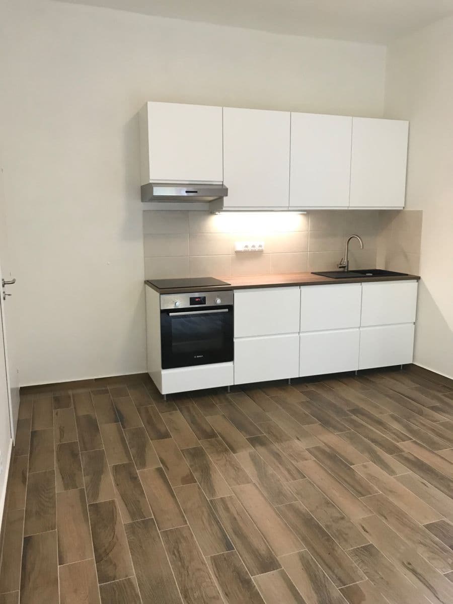 1 bedroom with open-plan kitchen flat to rent, 43 m², Krymská, Prague, Prague 1 bedroom with open-plan kitchen flat to rent, 43 m², Krymská, Prague, Prague