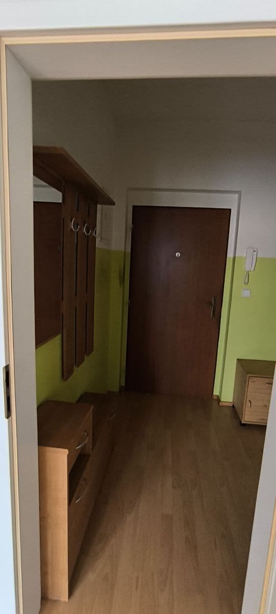 1 bedroom with open-plan kitchen flat to rent, 47 m², Mattioliho, Prague, Prague 1 bedroom with open-plan kitchen flat to rent, 47 m², Mattioliho, Prague, Prague