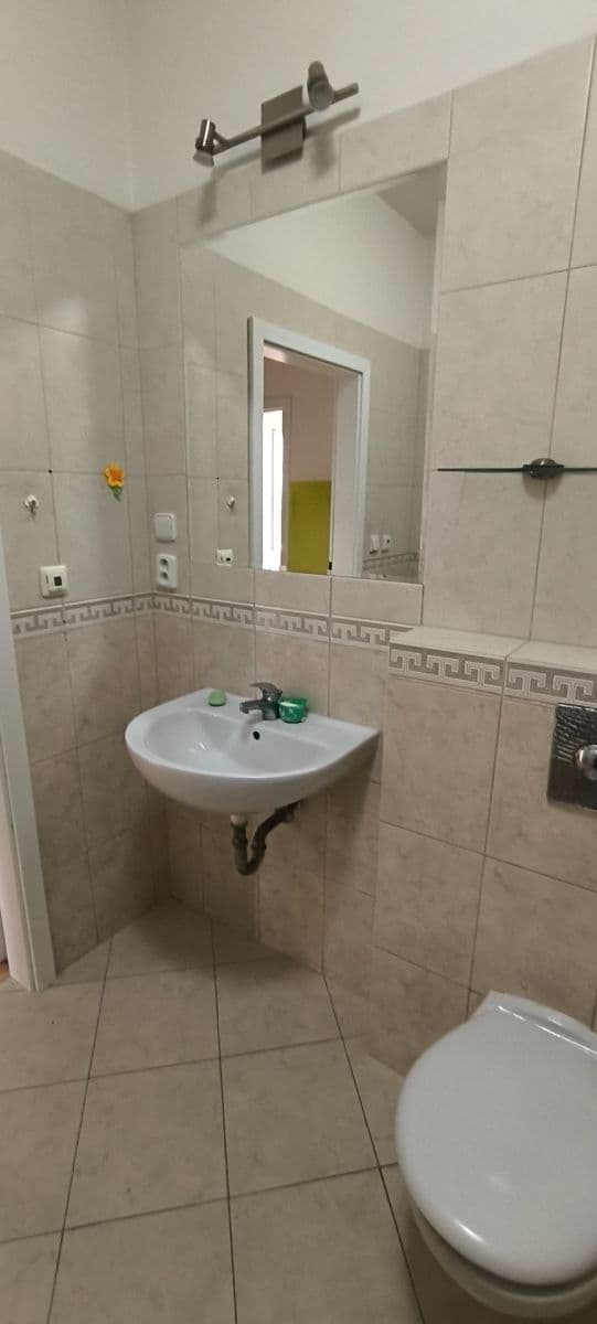 1 bedroom with open-plan kitchen flat to rent, 47 m², Mattioliho, Prague, Prague 1 bedroom with open-plan kitchen flat to rent, 47 m², Mattioliho, Prague, Prague