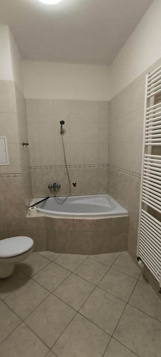 1 bedroom with open-plan kitchen flat to rent, 47 m², Mattioliho, Prague, Prague 1 bedroom with open-plan kitchen flat to rent, 47 m², Mattioliho, Prague, Prague