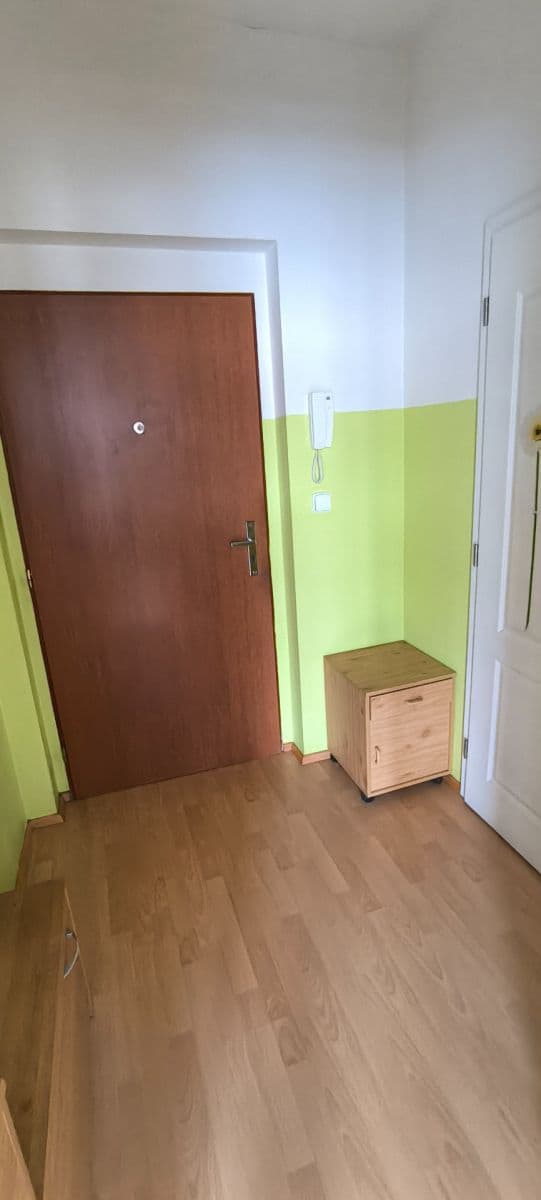 1 bedroom with open-plan kitchen flat to rent, 47 m², Mattioliho, Prague, Prague 1 bedroom with open-plan kitchen flat to rent, 47 m², Mattioliho, Prague, Prague