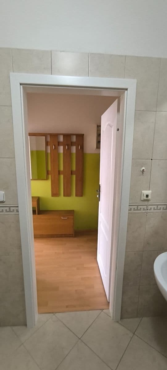 1 bedroom with open-plan kitchen flat to rent, 47 m², Mattioliho, Prague, Prague 1 bedroom with open-plan kitchen flat to rent, 47 m², Mattioliho, Prague, Prague