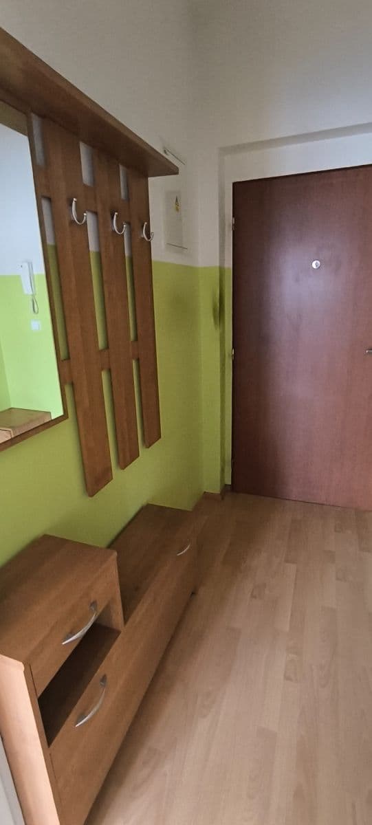 1 bedroom with open-plan kitchen flat to rent, 47 m², Mattioliho, Prague, Prague 1 bedroom with open-plan kitchen flat to rent, 47 m², Mattioliho, Prague, Prague