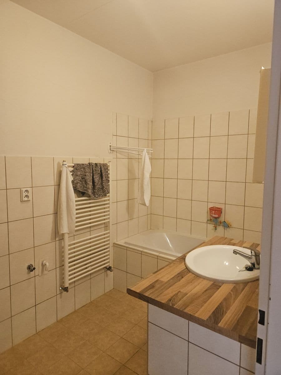 1 bedroom with open-plan kitchen flat to rent, 55 m², Volmanova, Čelákovice, Středočeský Region 1 bedroom with open-plan kitchen flat to rent, 55 m², Volmanova, Čelákovice, Středočeský Region