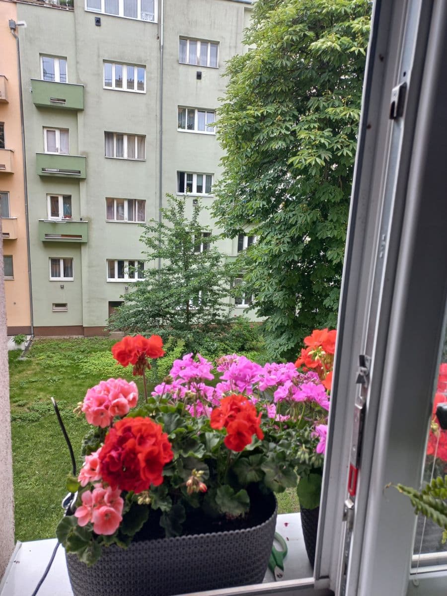 1 bedroom with open-plan kitchen flat for sale, 46 m², Hartigova, Prague, Prague 1 bedroom with open-plan kitchen flat for sale, 46 m², Hartigova, Prague, Prague