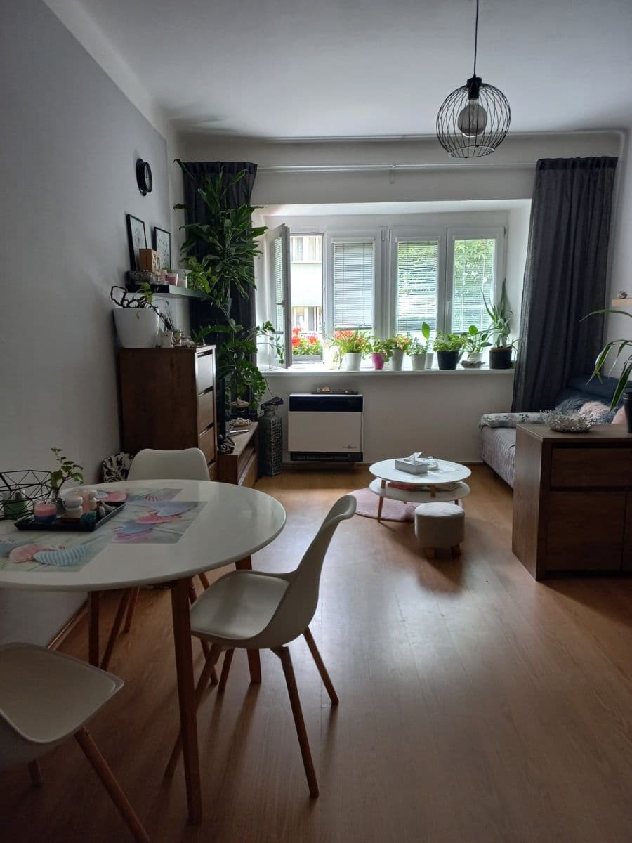 1 bedroom with open-plan kitchen flat for sale, 46 m², Hartigova, Prague, Prague 1 bedroom with open-plan kitchen flat for sale, 46 m², Hartigova, Prague, Prague