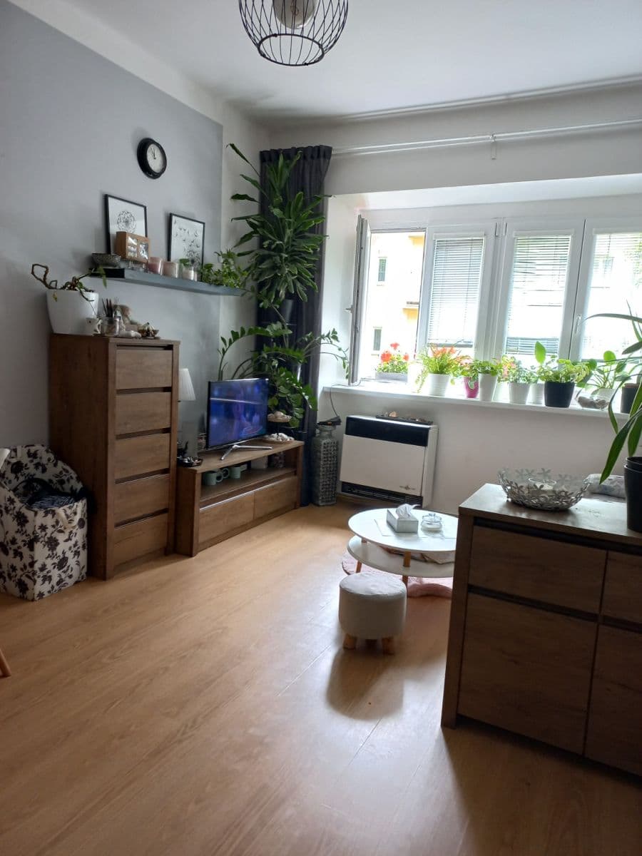 1 bedroom with open-plan kitchen flat for sale, 46 m², Hartigova, Prague, Prague 1 bedroom with open-plan kitchen flat for sale, 46 m², Hartigova, Prague, Prague