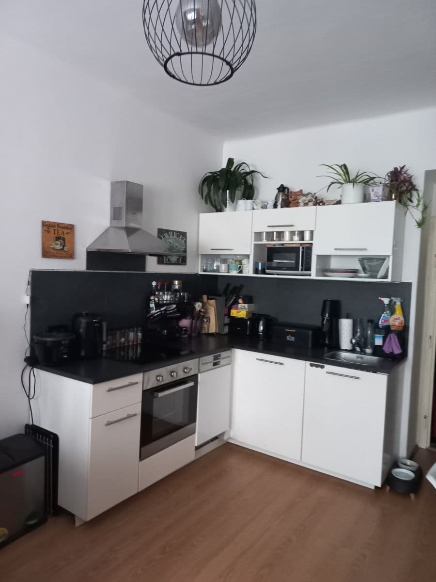 1 bedroom with open-plan kitchen flat for sale, 46 m², Hartigova, Prague, Prague 1 bedroom with open-plan kitchen flat for sale, 46 m², Hartigova, Prague, Prague