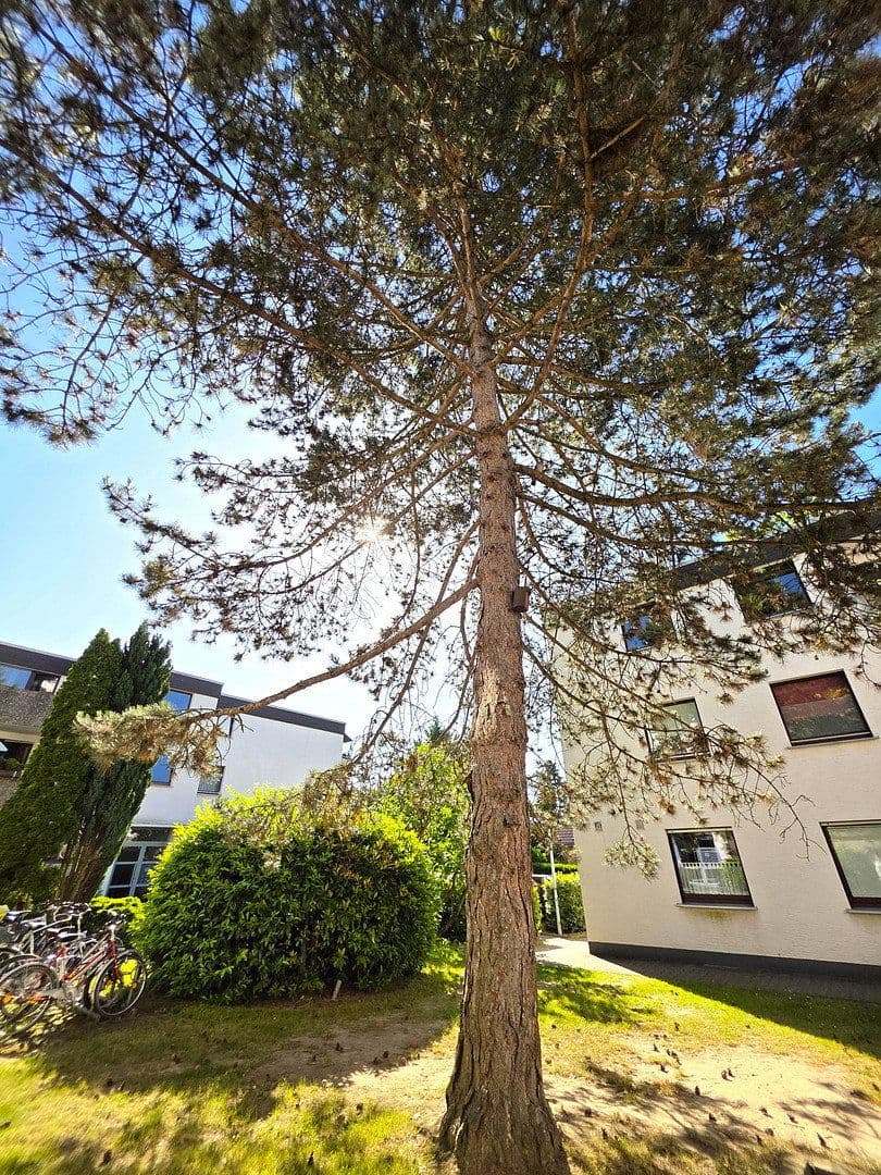 2 bedroom flat for sale, 60 m², Bergisch Gladbach, North Rhine-Westphalia 2 bedroom flat for sale, 60 m², Bergisch Gladbach, North Rhine-Westphalia
