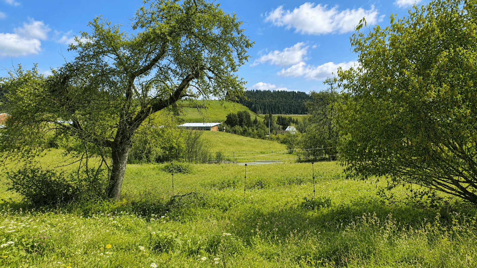 plot for sale, 2,443 m², Auf den Höfen, Niedereschach, Baden-Württemberg plot for sale, 2,443 m², Auf den Höfen, Niedereschach, Baden-Württemberg