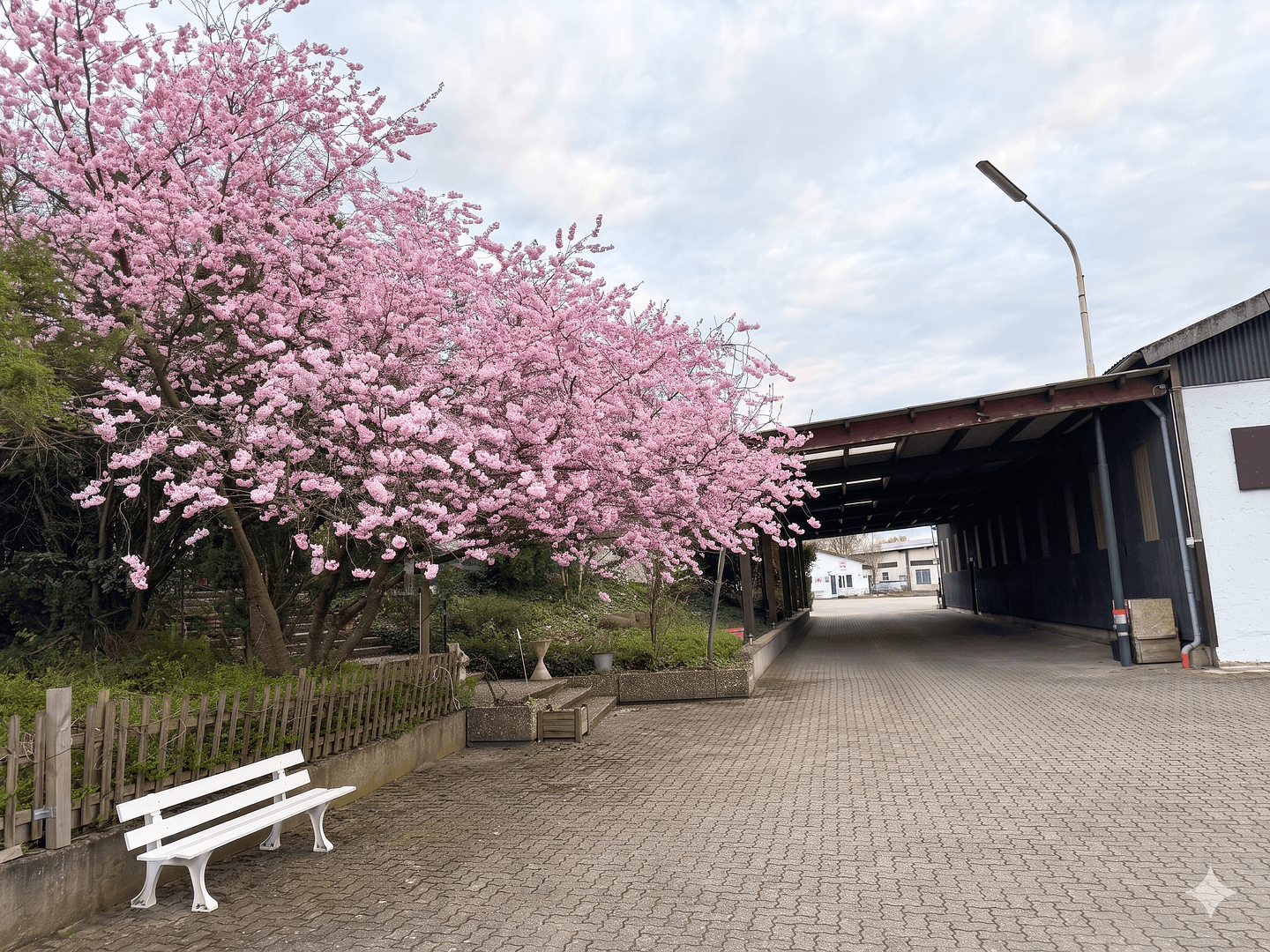 non-residential property for sale, 3,682 m², Hagenbach, Rhineland-Palatinate non-residential property for sale, 3,682 m², Hagenbach, Rhineland-Palatinate