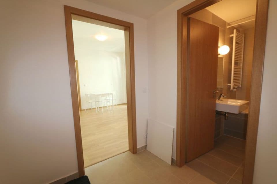 1 bedroom with open-plan kitchen flat to rent, 43 m², Petržílkova, Prague, Prague 1 bedroom with open-plan kitchen flat to rent, 43 m², Petržílkova, Prague, Prague
