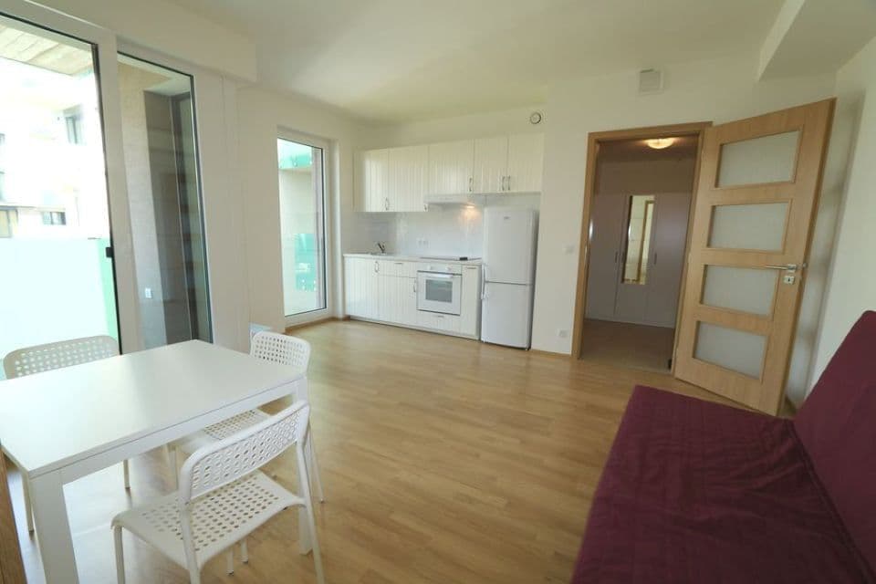 1 bedroom with open-plan kitchen flat to rent, 43 m², Petržílkova, Prague, Prague 1 bedroom with open-plan kitchen flat to rent, 43 m², Petržílkova, Prague, Prague
