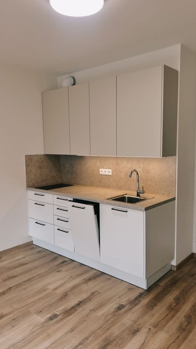 Studio flat to rent, 33 m², Gerstelova, Prague, Prague Studio flat to rent, 33 m², Gerstelova, Prague, Prague