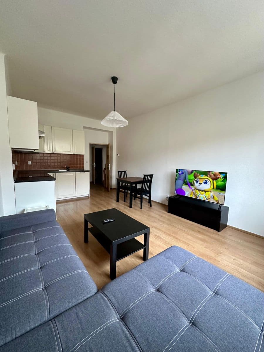 1 bedroom with open-plan kitchen flat to rent, 57 m², Šumavská, Prague, Prague 1 bedroom with open-plan kitchen flat to rent, 57 m², Šumavská, Prague, Prague