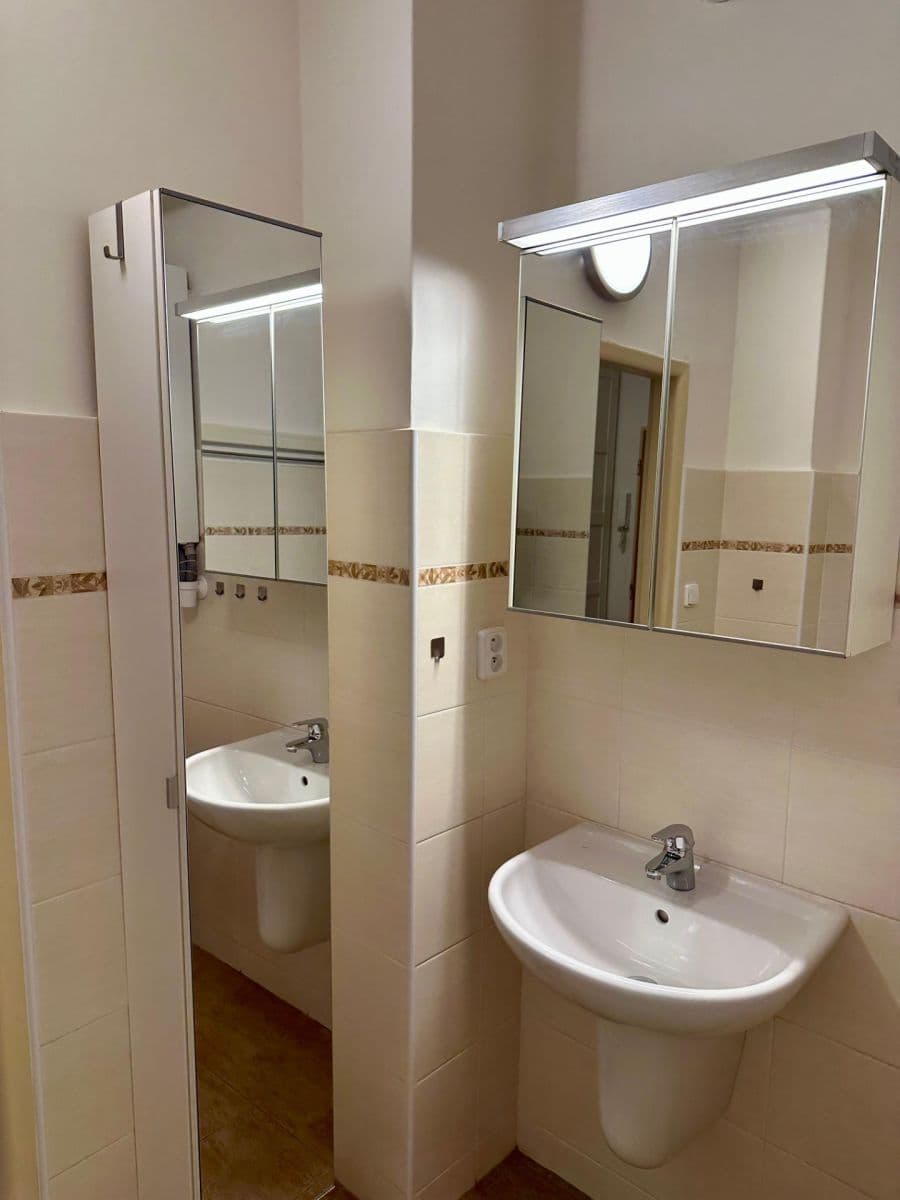 1 bedroom with open-plan kitchen flat to rent, 57 m², Šumavská, Prague, Prague 1 bedroom with open-plan kitchen flat to rent, 57 m², Šumavská, Prague, Prague