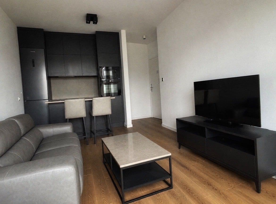 1 bedroom with open-plan kitchen flat to rent, 43 m², Ondříčkova, Prague, Prague 1 bedroom with open-plan kitchen flat to rent, 43 m², Ondříčkova, Prague, Prague