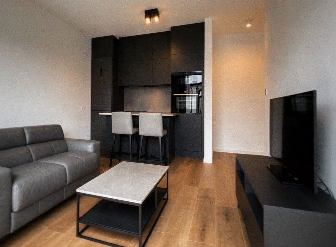 1 bedroom with open-plan kitchen flat to rent, 43 m², Ondříčkova, Prague, Prague 1 bedroom with open-plan kitchen flat to rent, 43 m², Ondříčkova, Prague, Prague