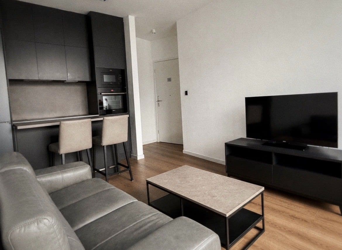 1 bedroom with open-plan kitchen flat to rent, 43 m², Ondříčkova, Prague, Prague 1 bedroom with open-plan kitchen flat to rent, 43 m², Ondříčkova, Prague, Prague
