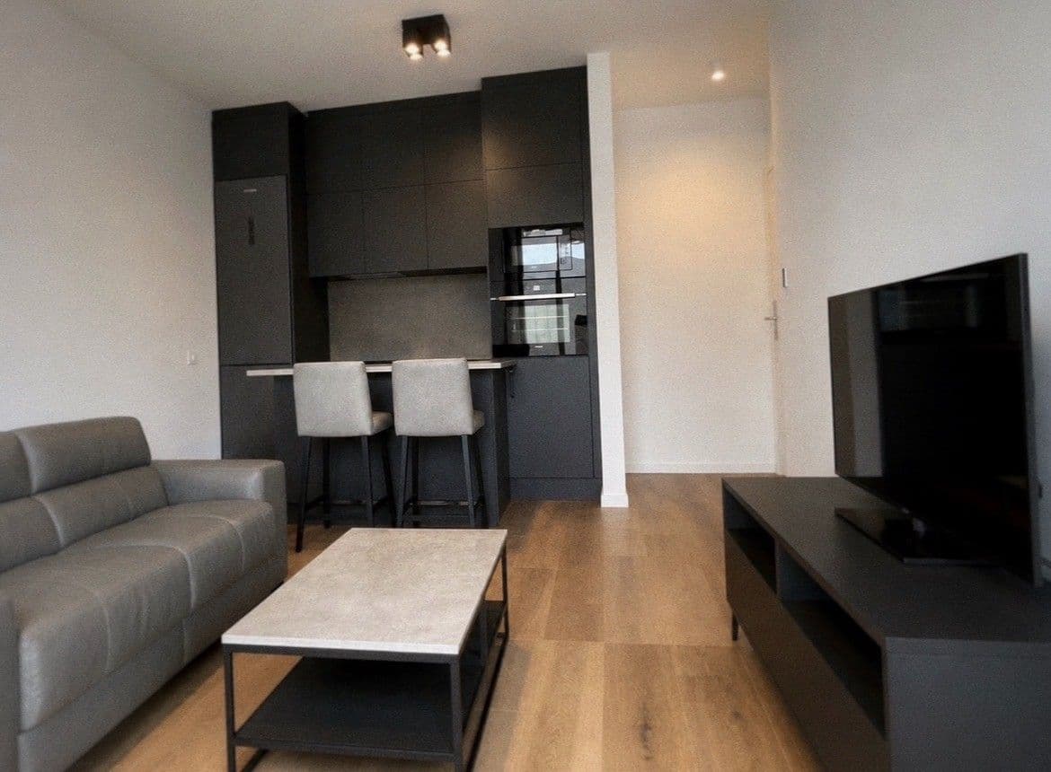1 bedroom with open-plan kitchen flat to rent, 43 m², Ondříčkova, Prague, Prague 1 bedroom with open-plan kitchen flat to rent, 43 m², Ondříčkova, Prague, Prague