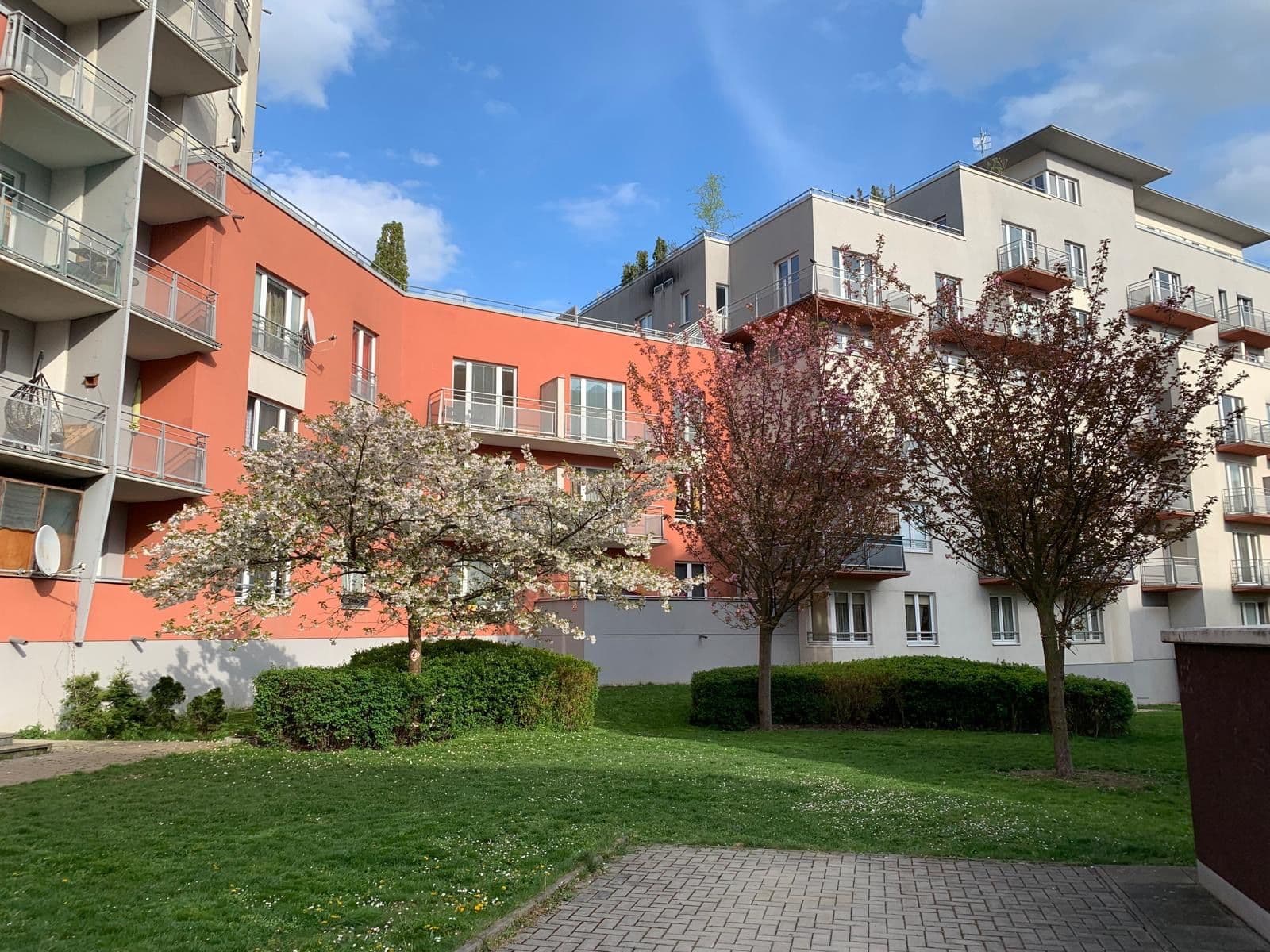 Studio flat to rent, 37 m², Mattioliho, Prague, Prague Studio flat to rent, 37 m², Mattioliho, Prague, Prague