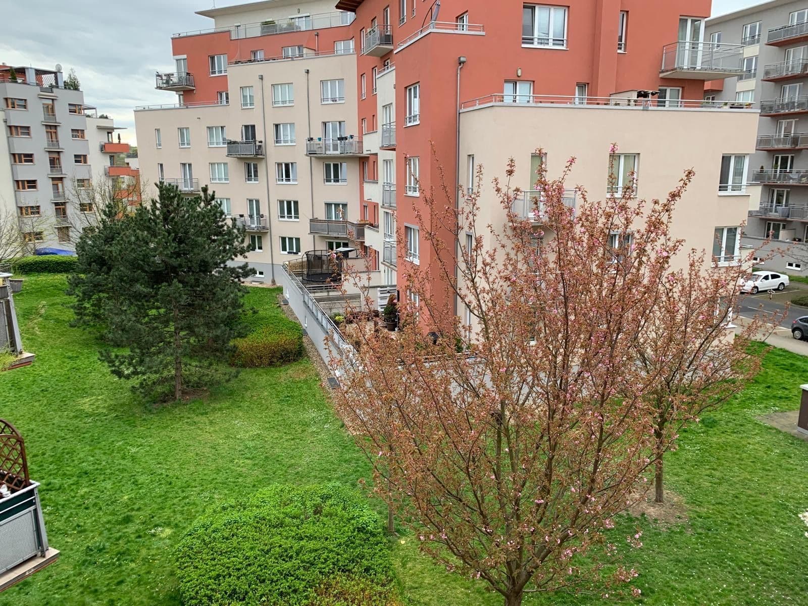 Studio flat to rent, 37 m², Mattioliho, Prague, Prague Studio flat to rent, 37 m², Mattioliho, Prague, Prague