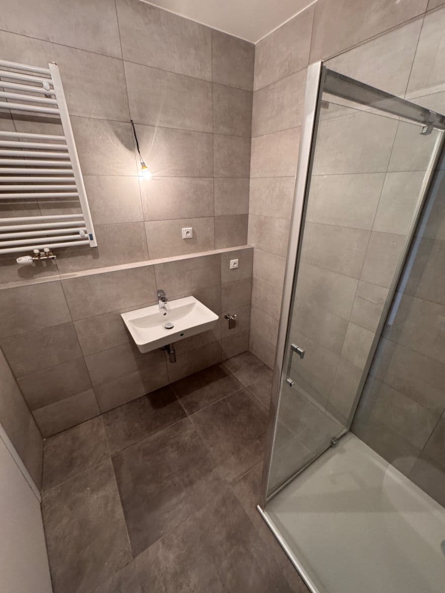 1 bedroom with open-plan kitchen flat to rent, 50 m², Malešická, Prague, Prague 1 bedroom with open-plan kitchen flat to rent, 50 m², Malešická, Prague, Prague