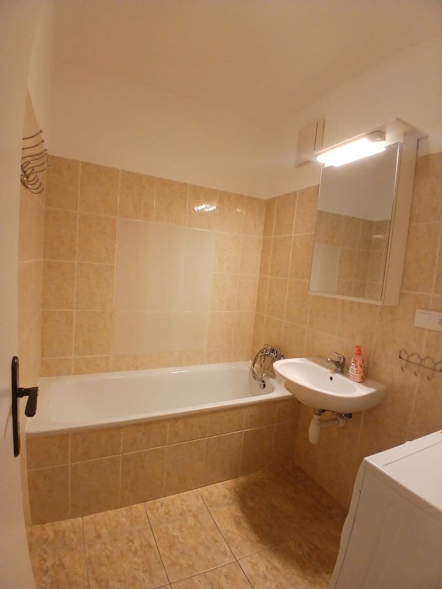 Studio flat to rent, 46 m², Hnězdenská, Prague, Prague Studio flat to rent, 46 m², Hnězdenská, Prague, Prague