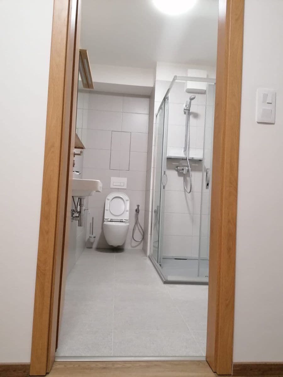 1 bedroom with open-plan kitchen flat for sale, 54 m², Stočesova, Prague, Prague 1 bedroom with open-plan kitchen flat for sale, 54 m², Stočesova, Prague, Prague